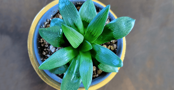 Christina 生活嫻情