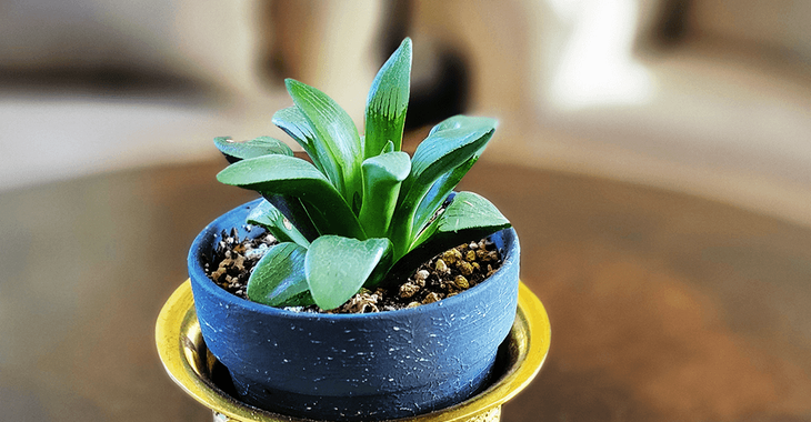 Christina 生活嫻情