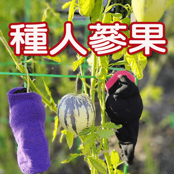 Christina 生活嫻情