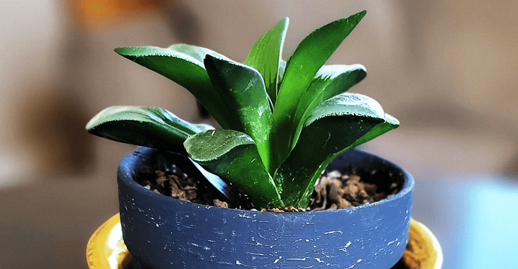 Christina 生活嫻情