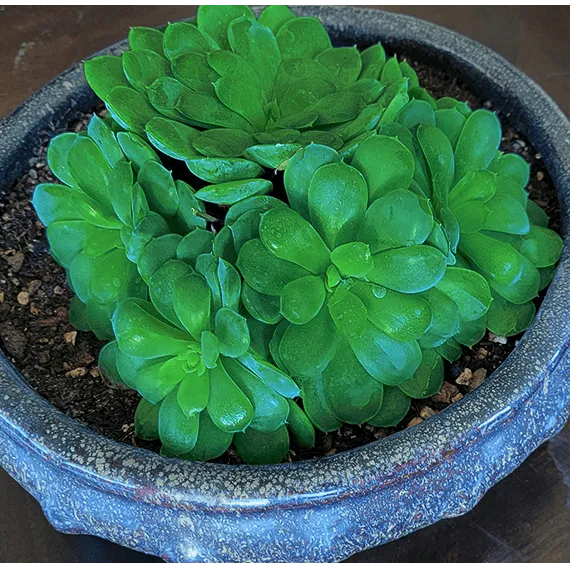 Christina 生活嫻情