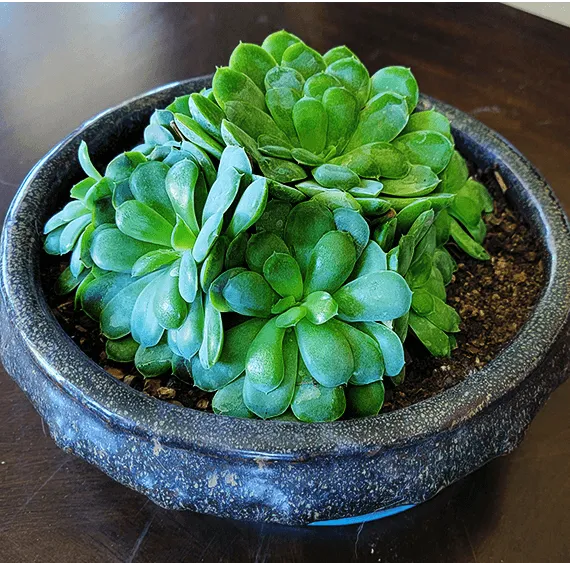 Christina 生活嫻情