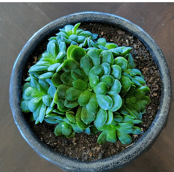 Christina 生活嫻情