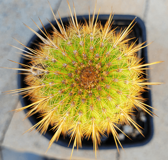 Christina 生活嫻情