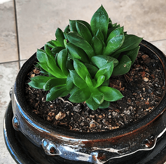 Christina 生活嫻情