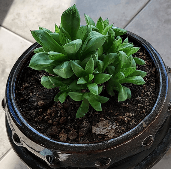 Christina 生活嫻情