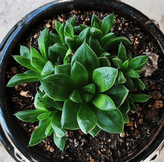 Christina 生活嫻情