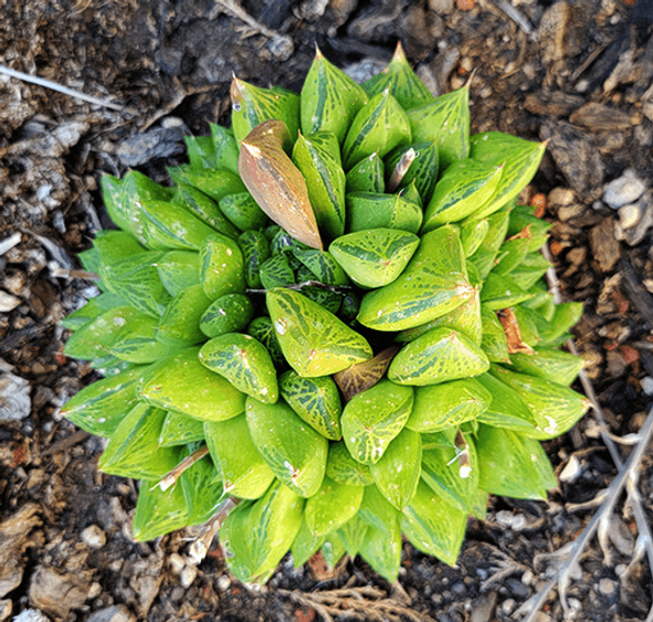 Christina 生活嫻情