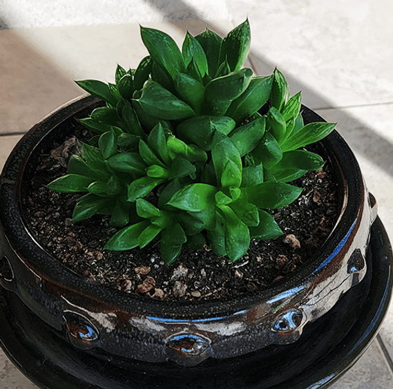 Christina 生活嫻情