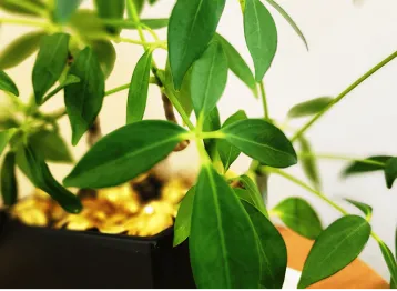 Christina 生活嫻情